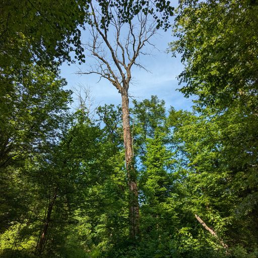 Underground Vibes Mai 2024