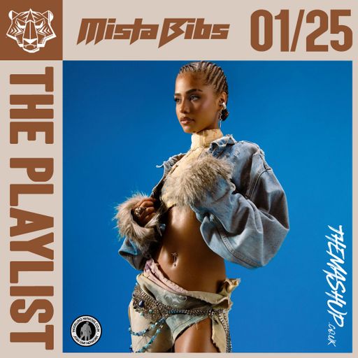 Mista Bibs x TheMashup.co.uk - The Playlist January 2025 (Hip Hop, R&B, Afrobeats & Dancehall)