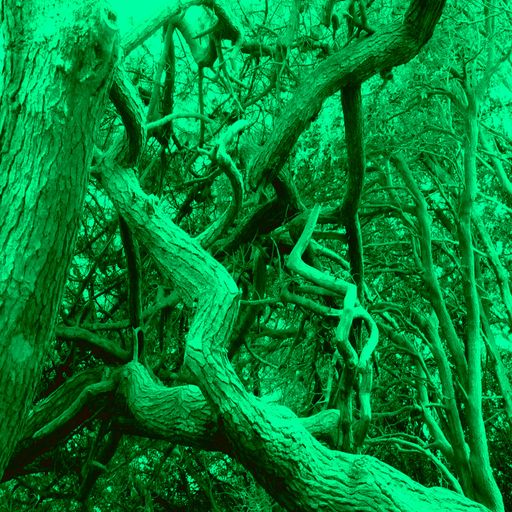 Previously On Resonance FM: Micro Clear Spot - 30 May 2010 (EL Redux: Bells, Birds and Brooks)