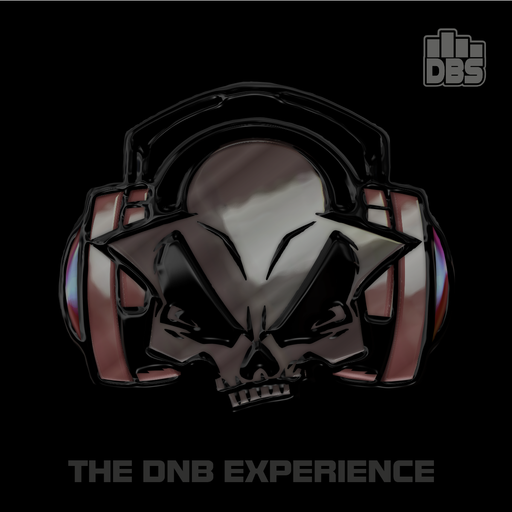DnB EXPERIENCE 20022021