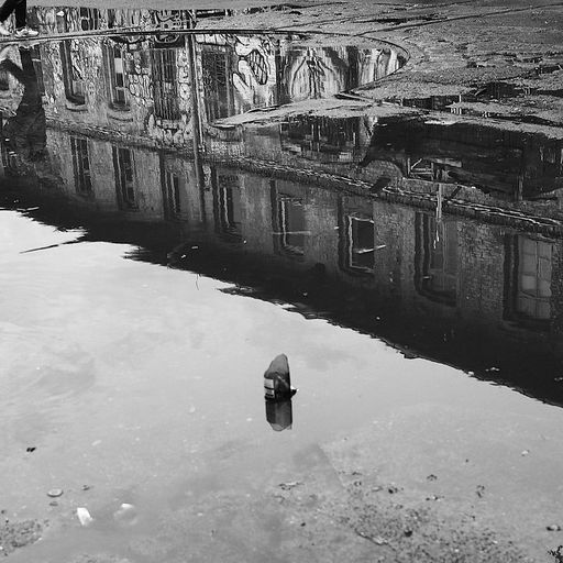 Peace is a Verb w/ Non-Functional Harmony  - 28th December 2025