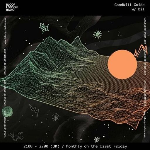 GoodWill Guide w/ bil - 01.03.24