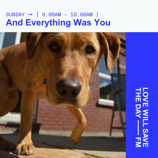 2025-03-09 And Everything Was You | LWSTD-FM