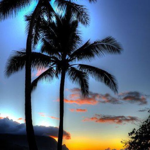 Abir's Refuge (Jazz)