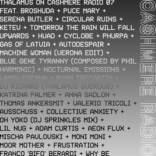 THALAMUS #7 on Collective Frustration