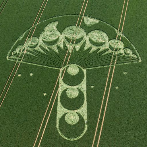 Alien Communication