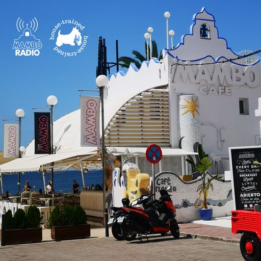Café Mambo Radio Ibiza - House Trained Show Episode 113 (14/07/23)