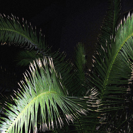 Kenyon Sound - 27/11/22