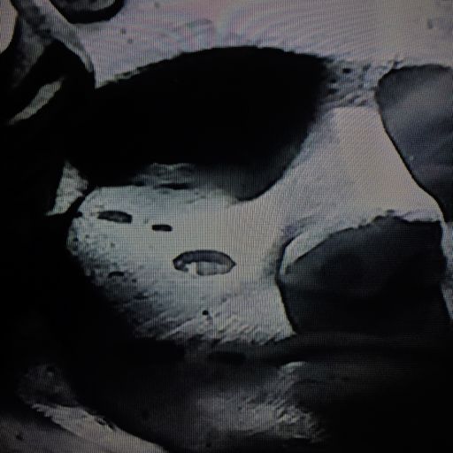 Space Skater (WiredAmbient)