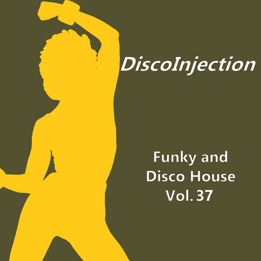 Funky House Mix Vol. 37 / 2022 DiscoinJection