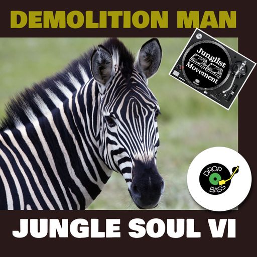 JUNGLESOUL 6