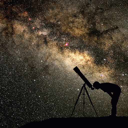 The stars my destination