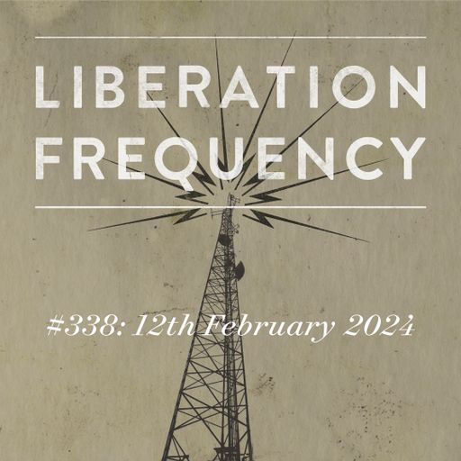 Liberation Frequency #338