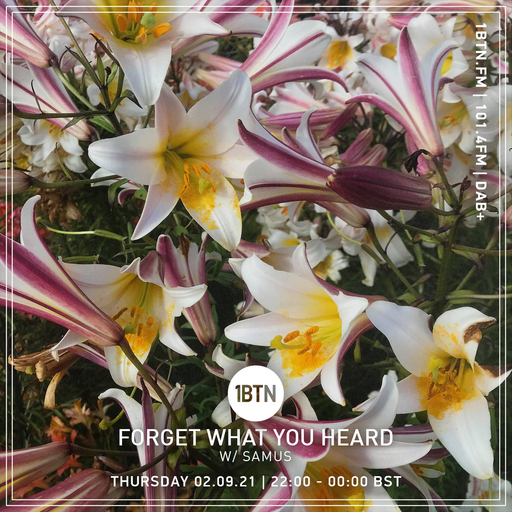 Forget What You Heard with Samus - 02.08.2021