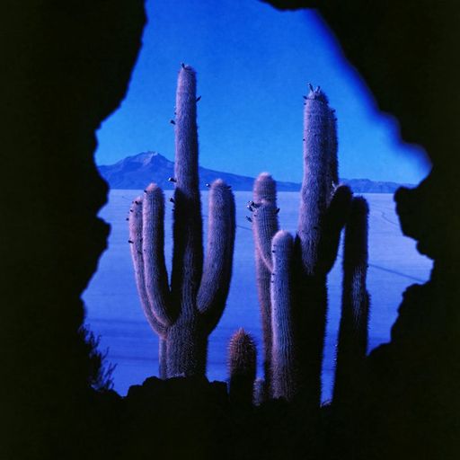 Palestinian Sound Archive - 12th January 2026