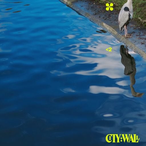 <2 w/ Jamie Cameron - November 2023