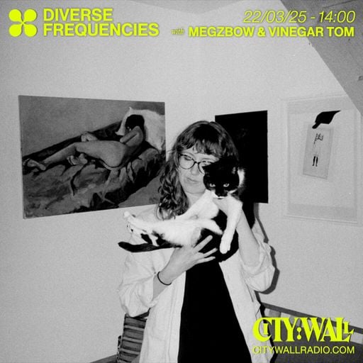 Diverse Frequencies w/ Megzbow & Vinegar Tom - March 2025