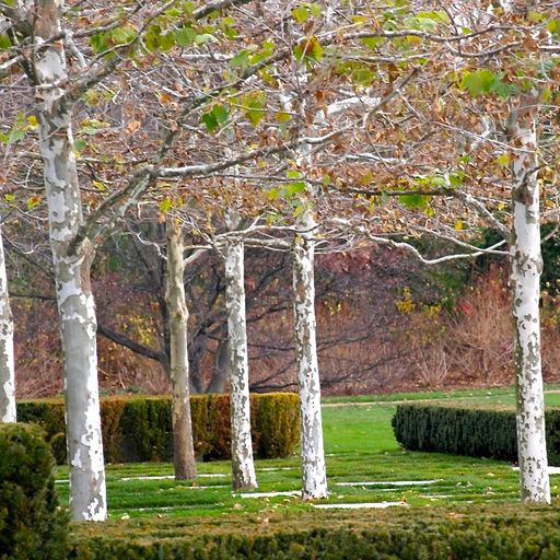 As you reach a certain age (Eclectic Playlist Series, 2.08)