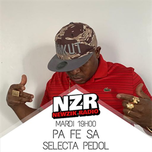 Selecta Pedol - Pa Fe Sa 115 (Dancehall Mix 2020 Ft Cobra, T.O.K, Lady Saw, Mr. G, Chico, Sizzla)