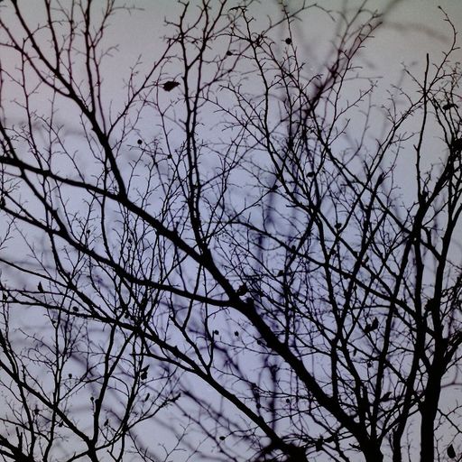 Open Hand Real Flames - Hammered Dulcimer special - 17th December 2025