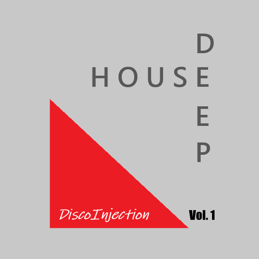 Deep House Mix Vol. 1 / 2021 by DiscoInjection