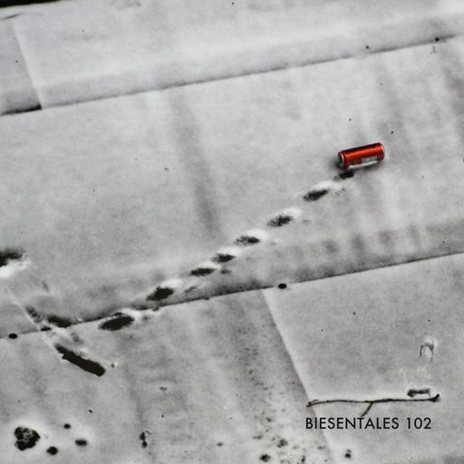 Biesentales 102 - Small fires nourish the soil 04.02.2026