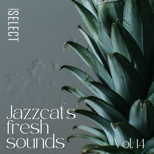Jazzcat's fresh sounds vol. 14