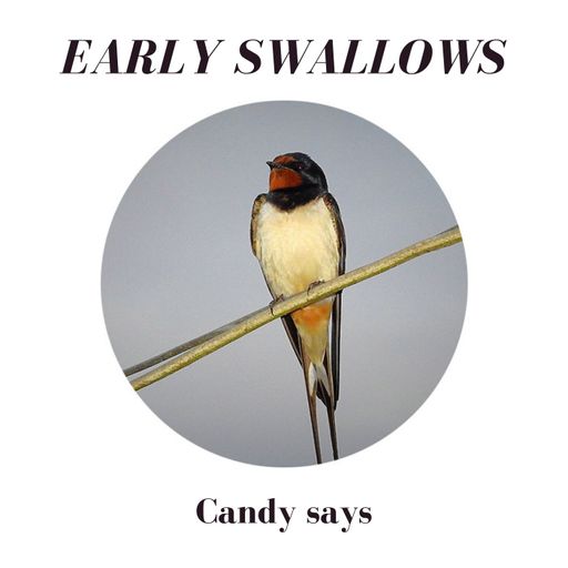 Early Swallows