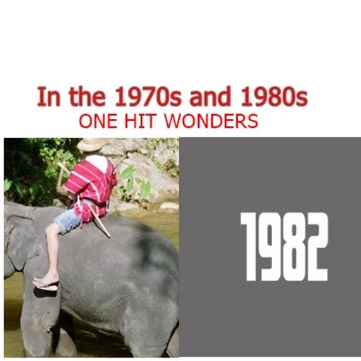 ONE HIT WONDERS 1982