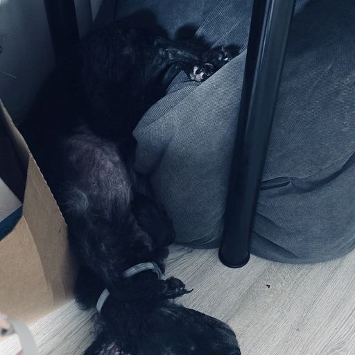 Take It Manso - 29th December 2025