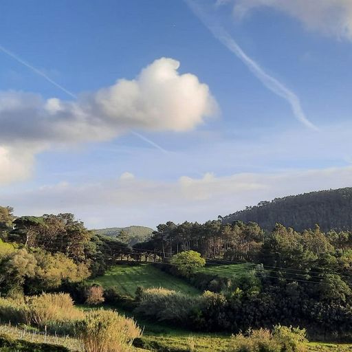 aldeia portuguesa w/ henrique? - 2nd January 2026