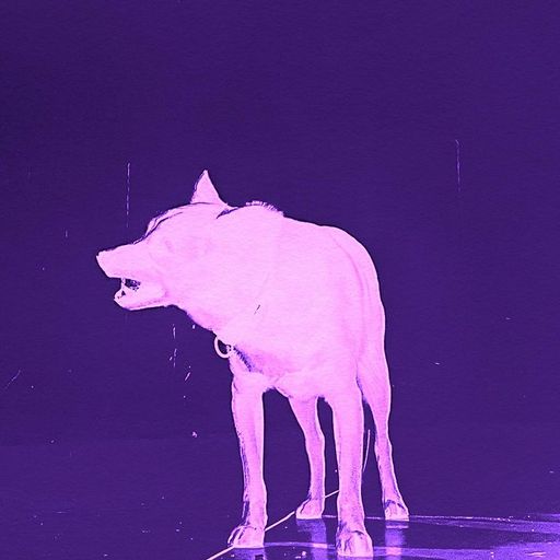 Debt & Refuge w/ Nymity  - 4th July 2025