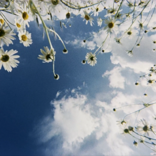 The Windmills of Your Mind w/ Taylor Rowley - 13th May 2026