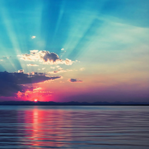 Progressive House & Trance Mix # 16