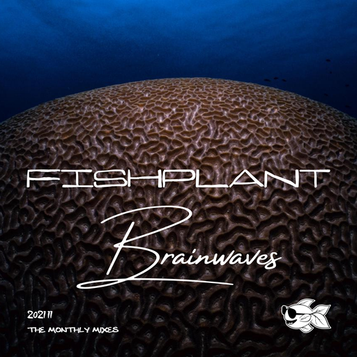2021 11 - Brainwaves