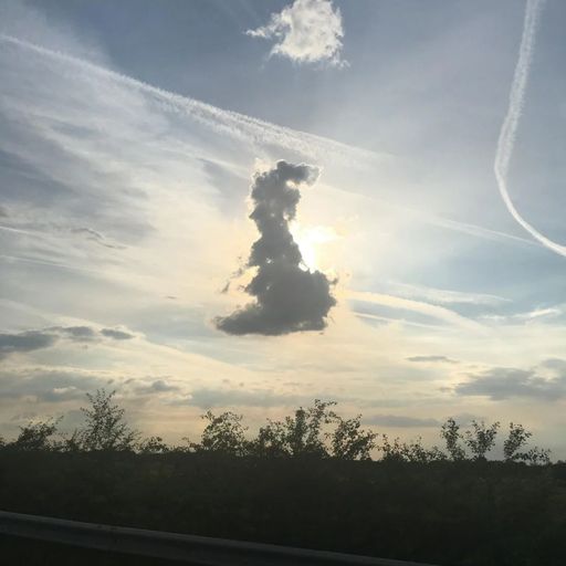 Tynetees w. Frederico Gonzales - November 2024