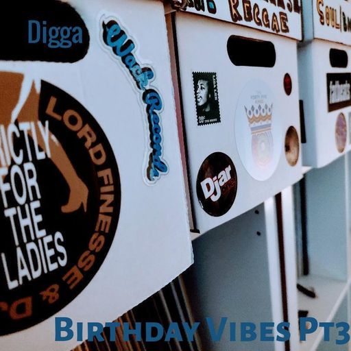 Digga-Birthday Vibes Part 3