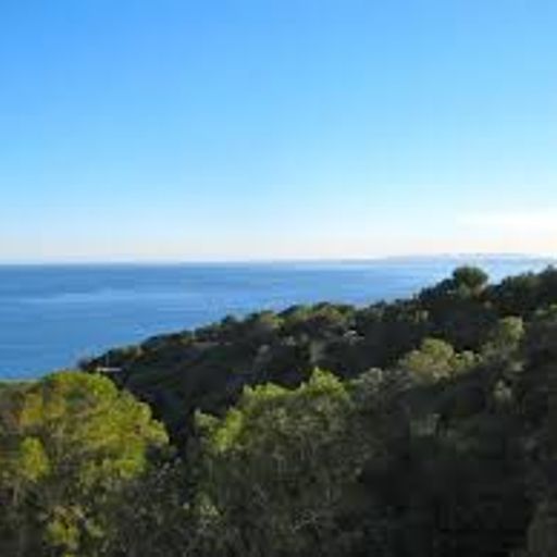 e diddly de an actors life for me