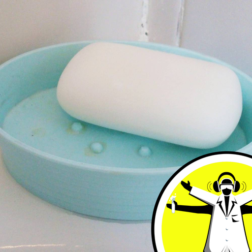 Do Bacteria Grow on Bars of Soap?