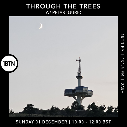 Through The Trees w/ Petar Djuric - 01.12.24