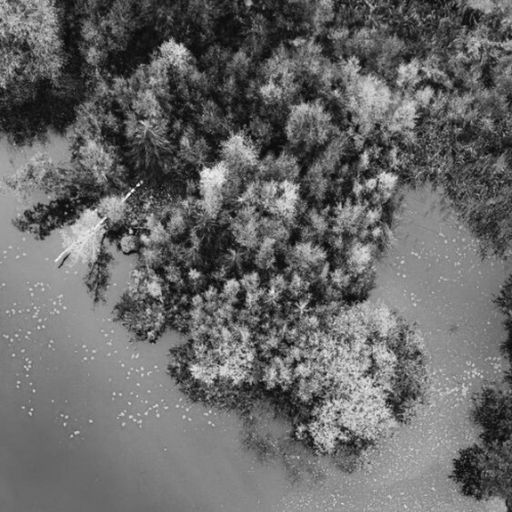 Alka Arora, Jeanine M. Canty, and Sara H. Salazar: Multicultural Women’s Voices on Ecological and So