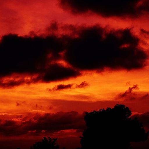 Sunset Boulevard