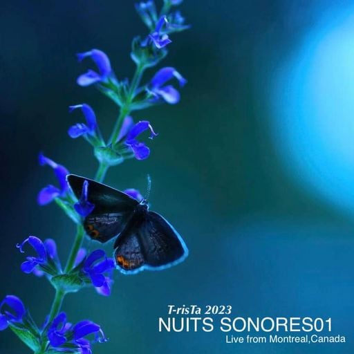 T-risTa's NUITS SONORES///01 2023 @ Live from Montreal, Canada
