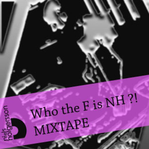 Niels Holgersson - Who the F is NH - Promo