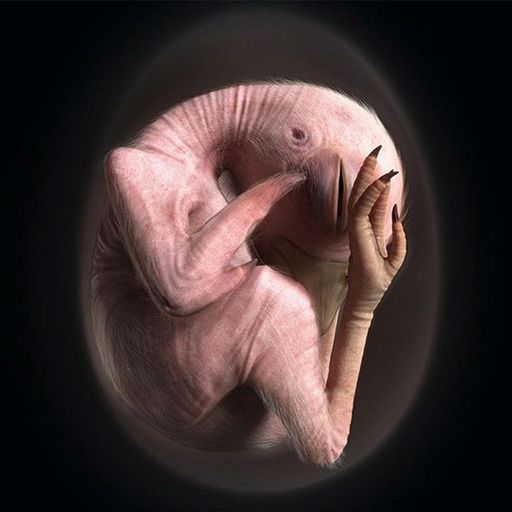 Natural Sciences w/ Embryo - 10th Year Show - 29th March 2025