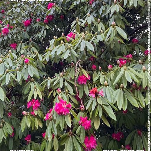 BONSE1 w/ Shokunin - 07/03/26 - [Voices Radio]