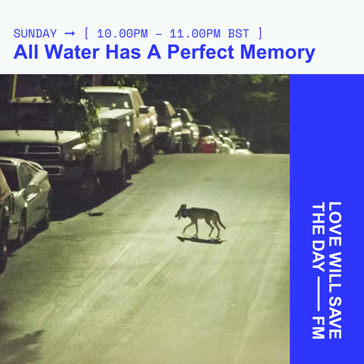 2024-08-18 All Water Has A Perfect Memory | LWSTD-FM