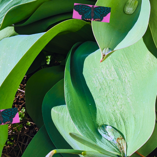 WE MUST BELIEVE IN PEACE W/ GISELLE - 2nd January 2026