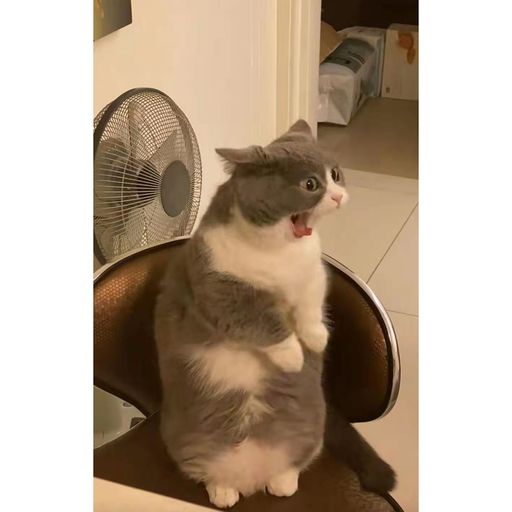 DJ'YE【Just For Yakult】《Ampun Bang Jago X Dior大穎_-_阿拉斯加海灣 X 回小仙_-_醒不來的夢》Rmx 2x21 Private Mixtape