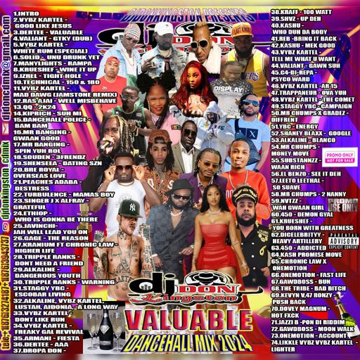 Dancehall Mix 2024, Valuable Ft Vybz Kartel, Valiant, Dertee, QQ, Shenseea, Alkaline, Jah Vinci
